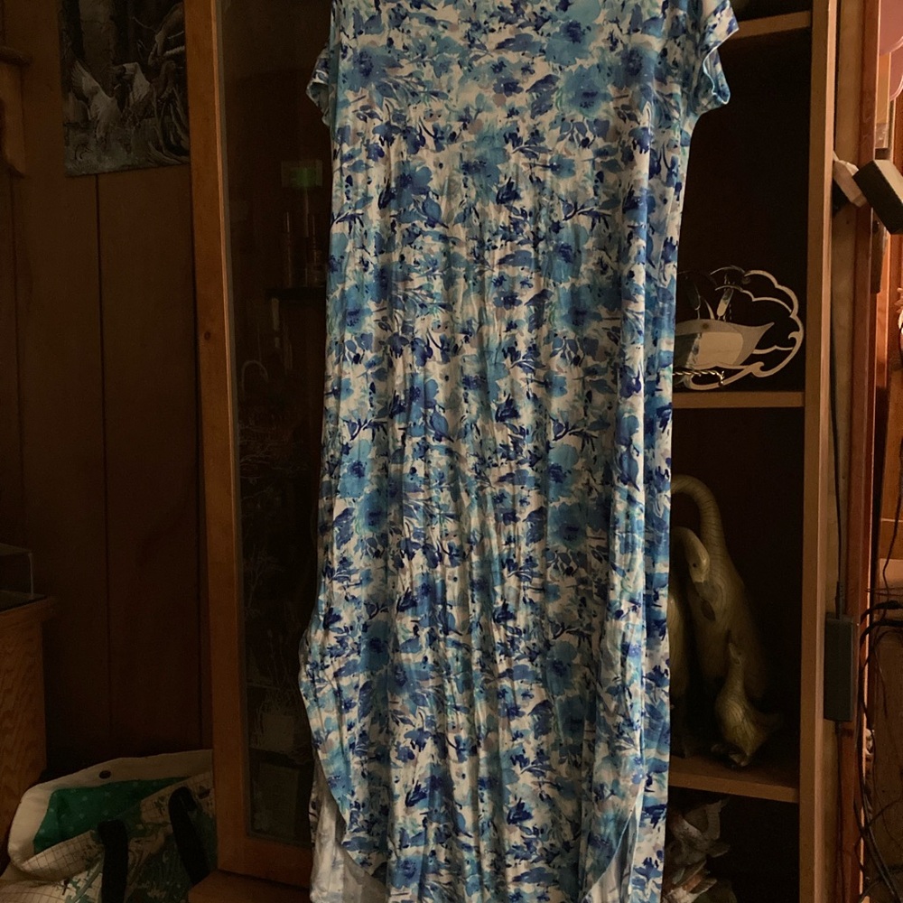 Floral Blue and White Dress
